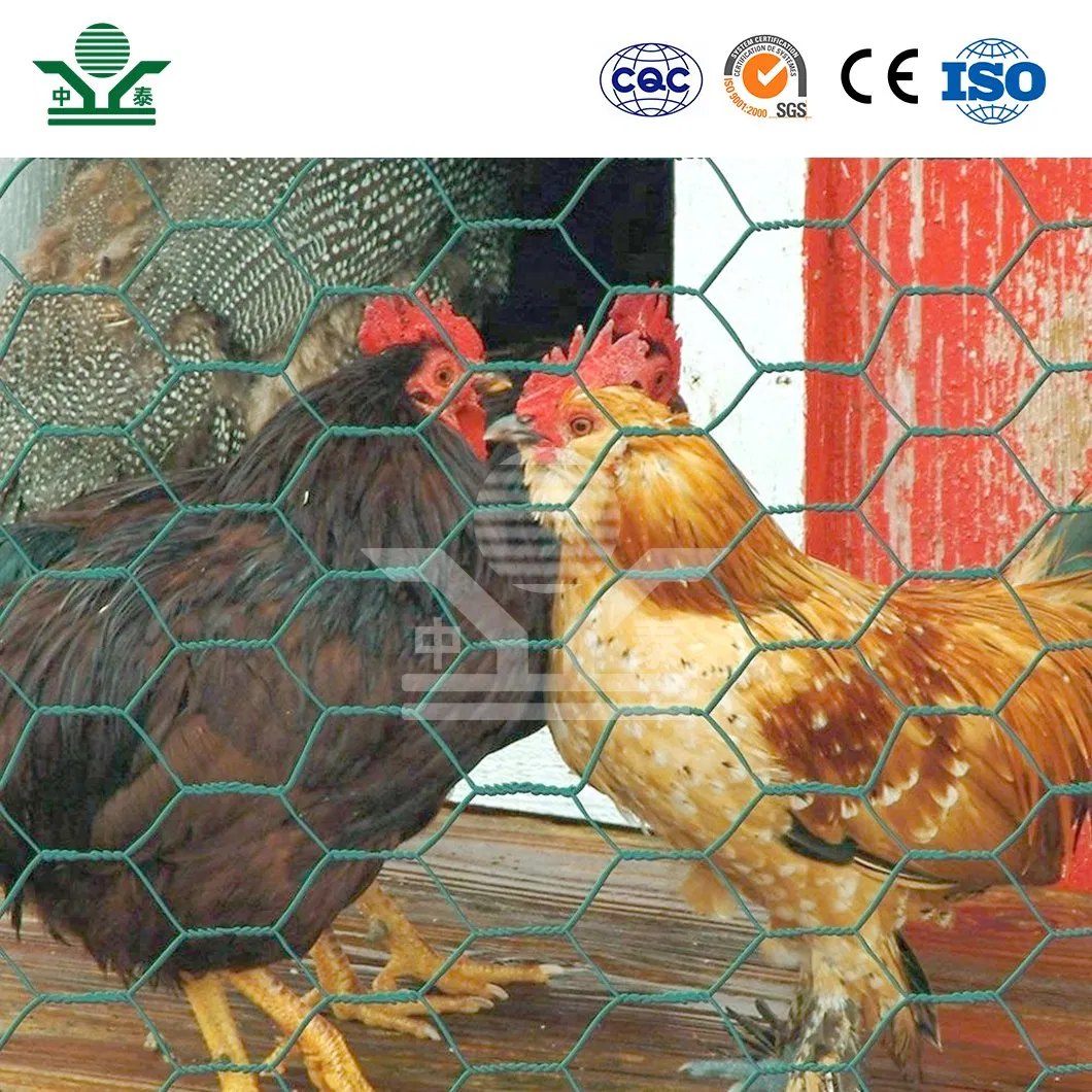 Zhongtai Hex Wire Mesh China Wholesalers 17 16 15 14 Bwg 13mm Chicken Wire Mesh Used for Security Mesh Fencing