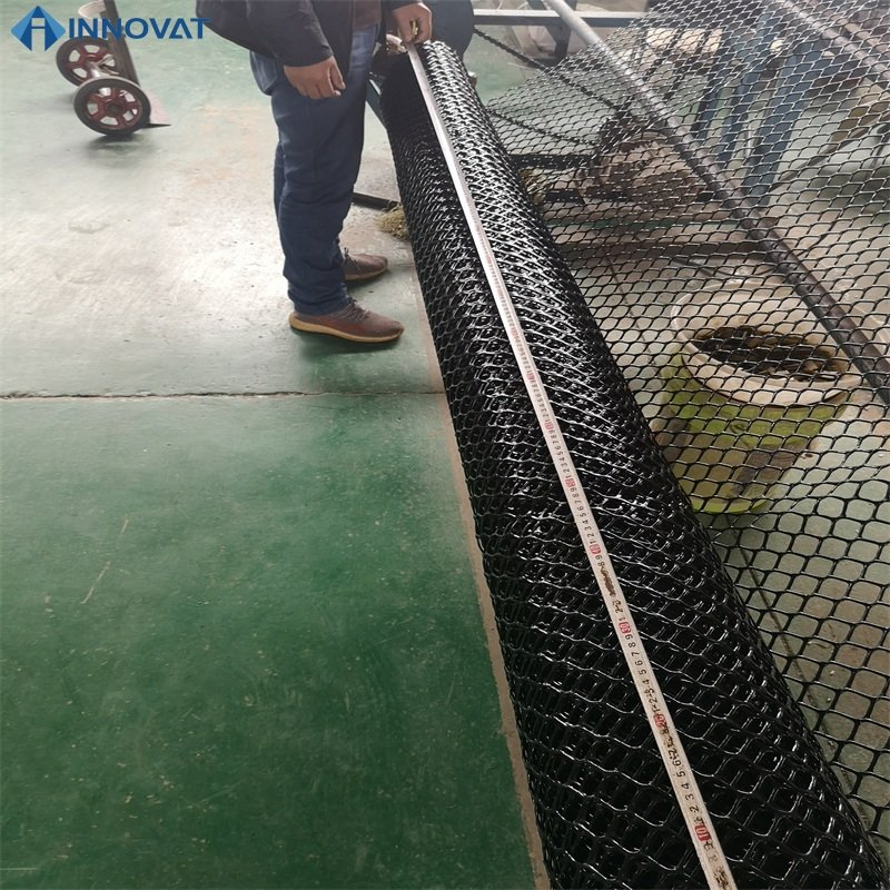 Chicken Mesh Netting/Poultry Breeding Mesh/Plant Netting/ Hexagonal Mesh