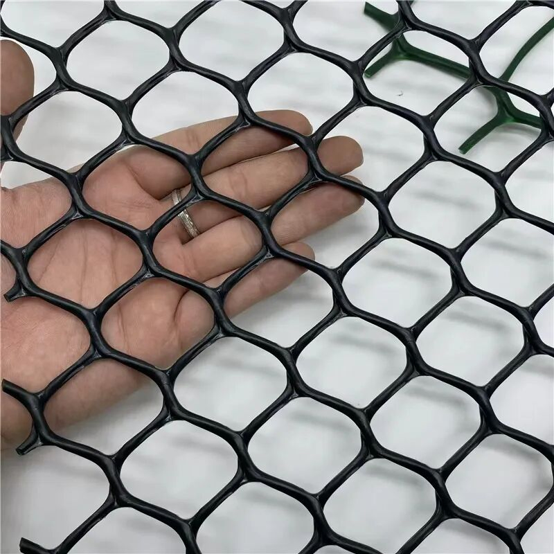 Erosion Control Mat Heavy Duty 3D Geonet for Dam Canals and Environmental Engineering