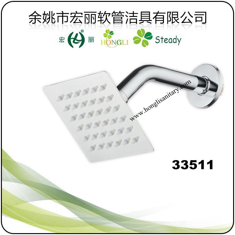 33503 Stainless Steel Shower Head with Stainless Steel Arm