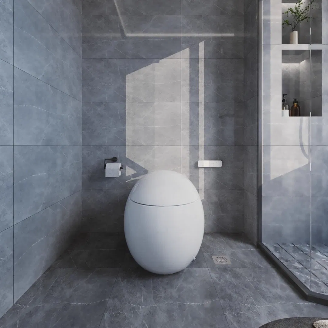 Bathroom Sanitary Ware Inodoro Inteligente Bidet Toilet Seat Ceramica Water Closet Siphon Colorful Option Heat Full Automatic Wc Smart Toilet
