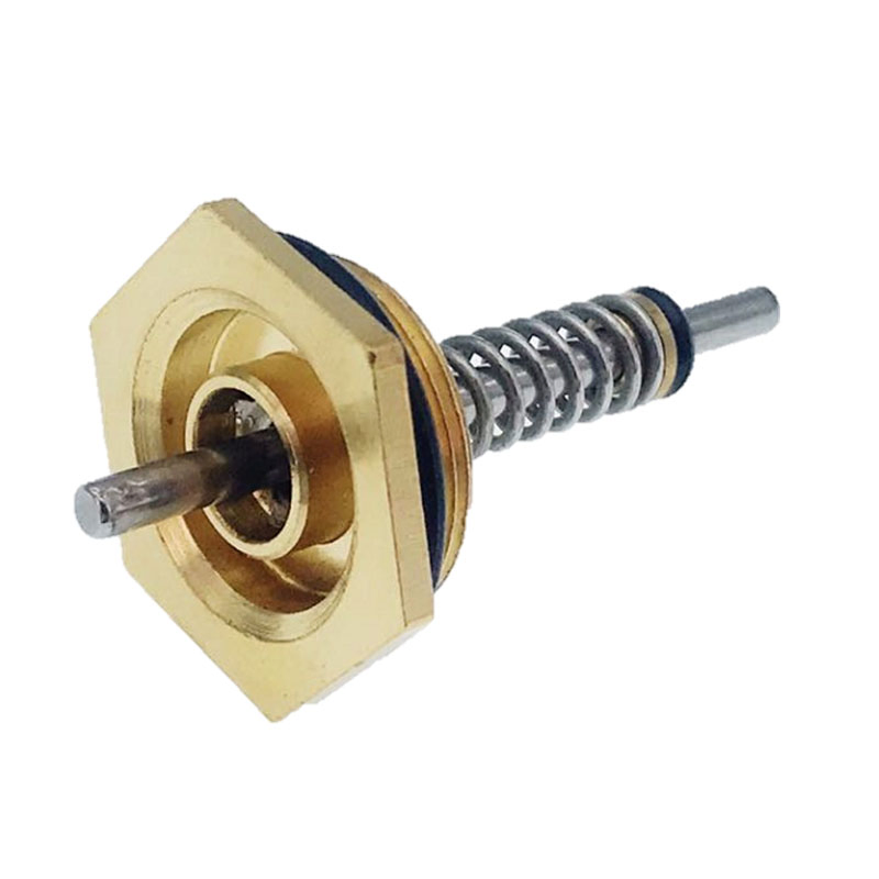 Gas Water Heater Spare Parts CKD Valve Thimble Spring Pin Needle