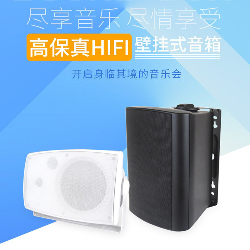 Paper Cone Wall Mount Speaker Ws-3205
