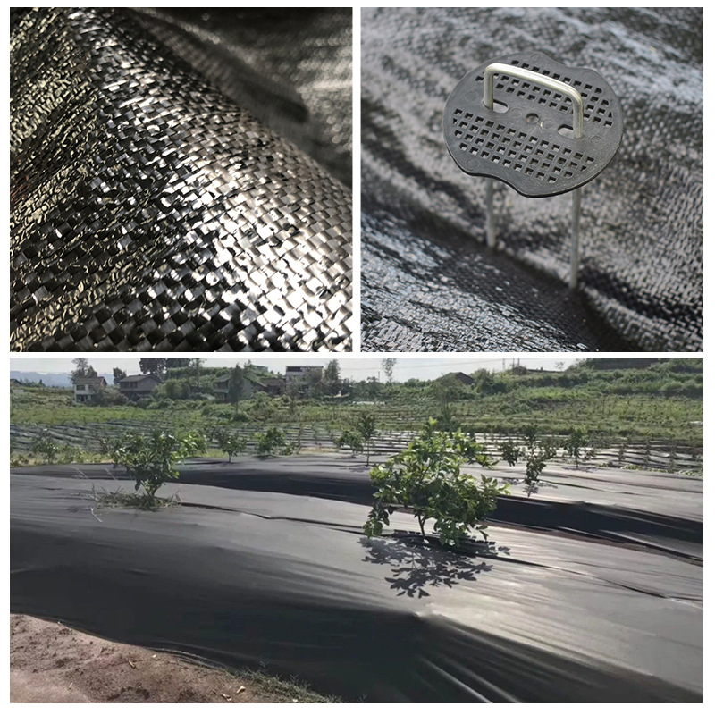 Wholesale Woven Fabric Thickened Agricultural Orchard Grass Cover Cloth