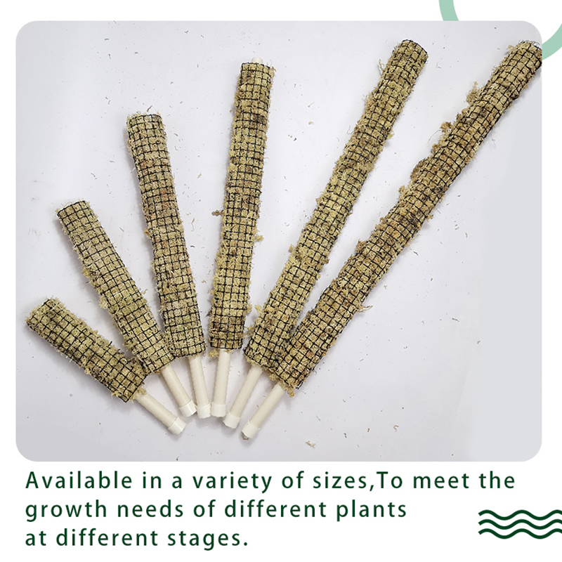 Stackable Green Sphagnum Moss Support Pole for Alocasia Tropical Climbing Plants
