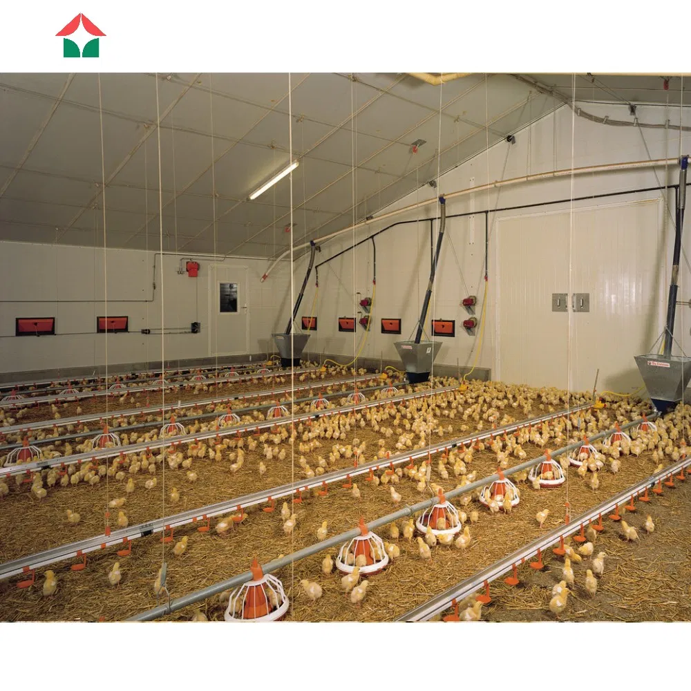 Customized Free Design Metal Frame Steel Construction Prefabricated Prefab Light Steel Structure/Chicken Sheds/Broiler Farm/Poultry Farm