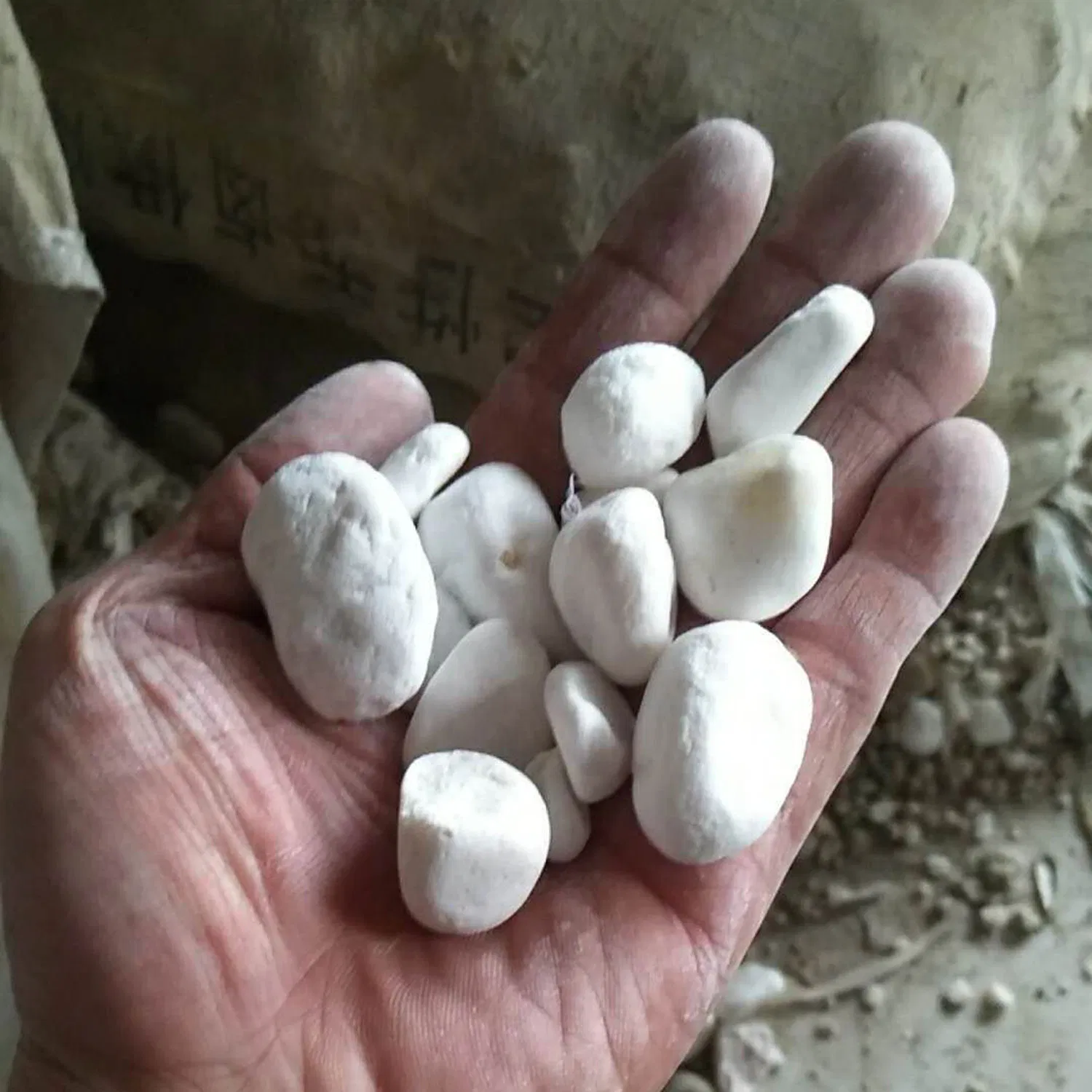 Hot Selling Natural Stone Snow White Cobble Stone for Decoration
