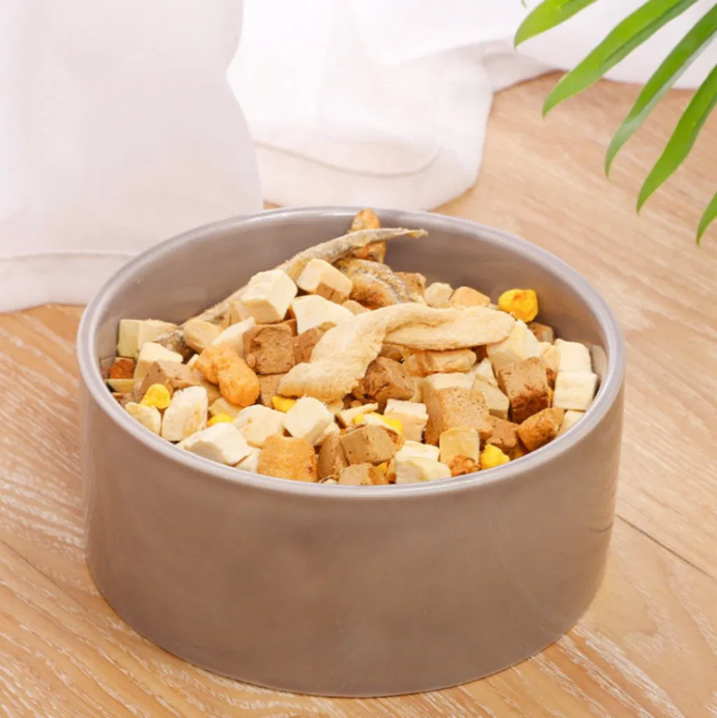 Manufacturer Wholesale Pet Feeders Circulating Silent Filtered Pet Bowls Automatic Water Fountain and Ceramics Cat Food Bowls