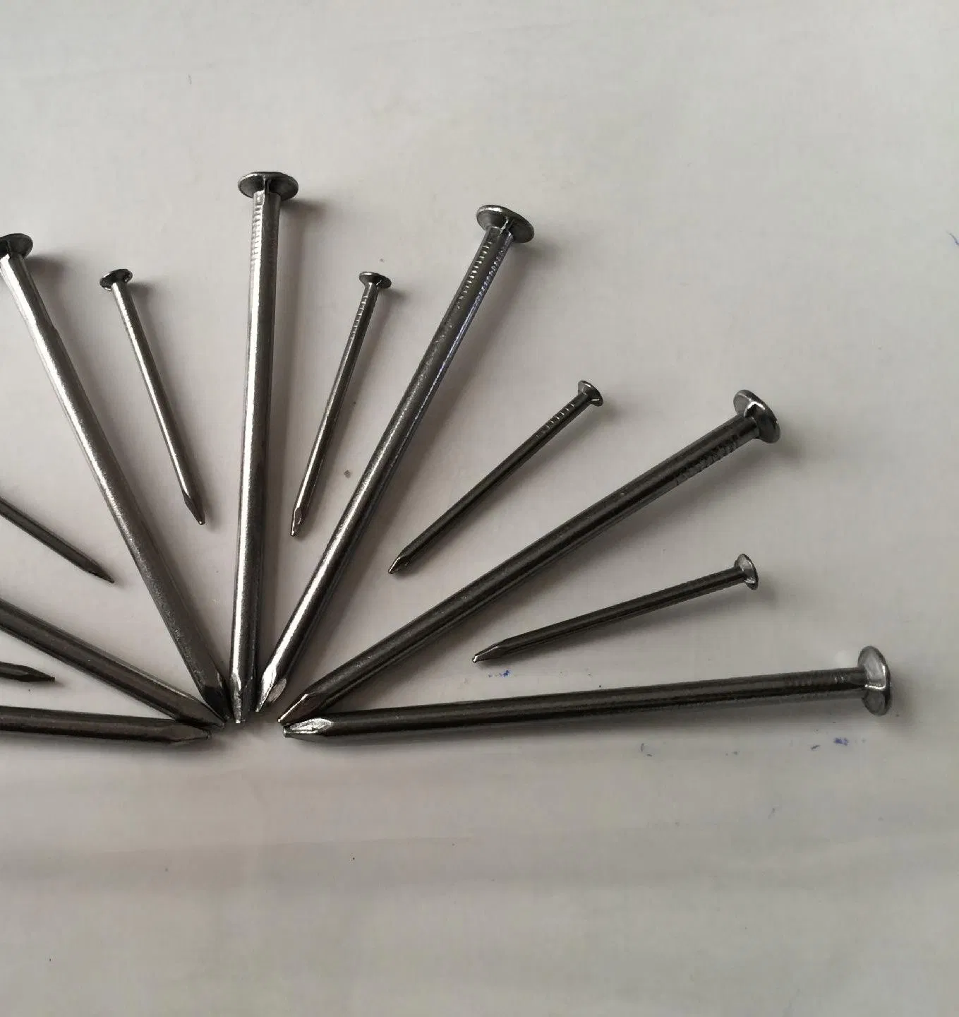 1kg to 25kgs Per Carton Polished Iron Wire Common Nails for Wooden