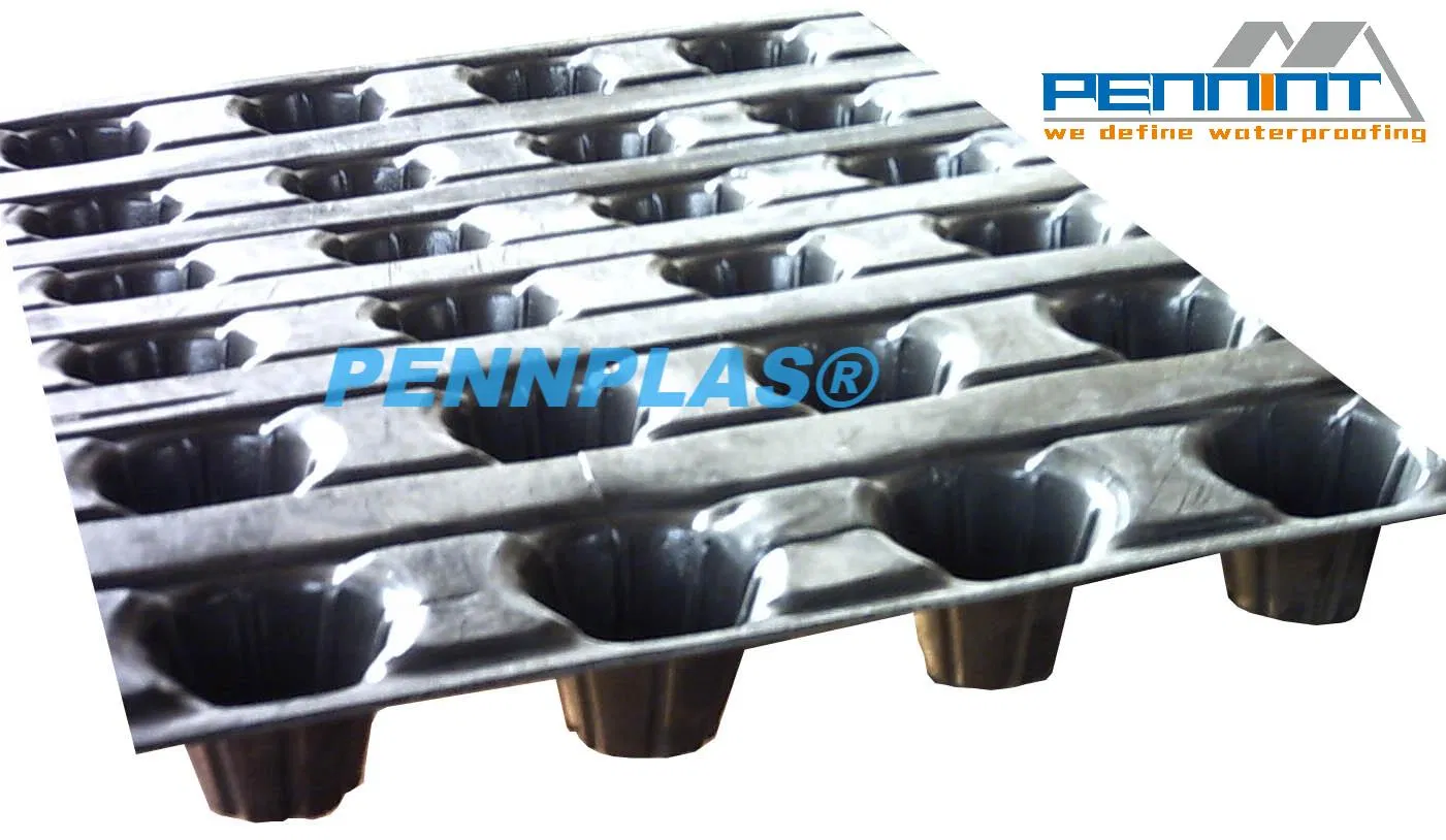High Quality HDPE Dimple Drainage Board for Earthwork Building Materials