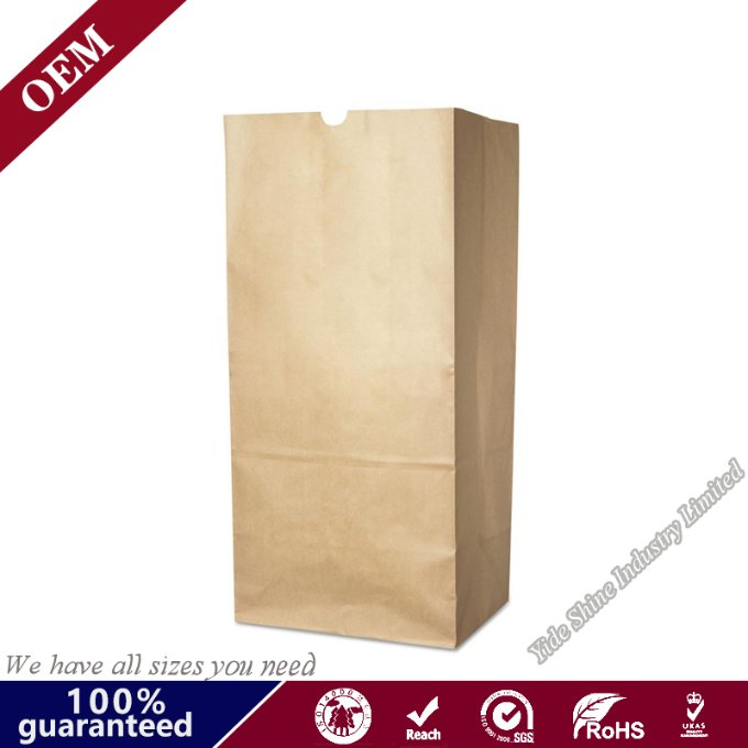 Moisture Proof Bio-Degradable Lawn Garden Waste Paper Bag