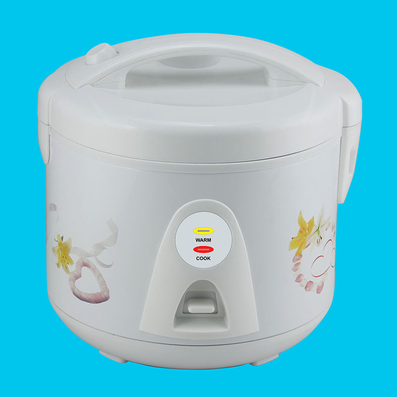 Food Cooker with Two Round Pins Plug