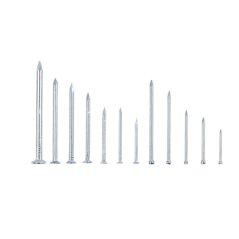 Steel Common Wire Nails Iron Nail