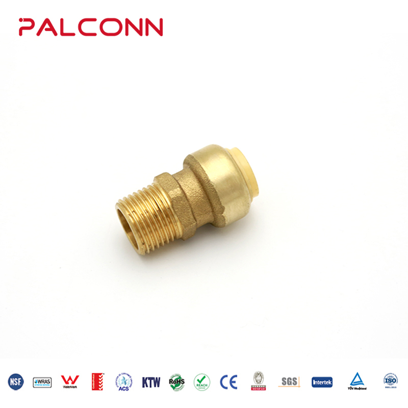 ASTM Standard Lead Free Pex Push-Fit Fittings