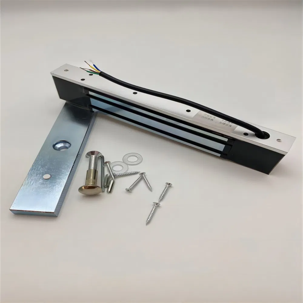 Hot Sale Double Door Delay Feedback Magnetic Lock