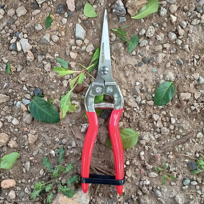 Секатор садовый обходной SK5 с мягкой рукояткой