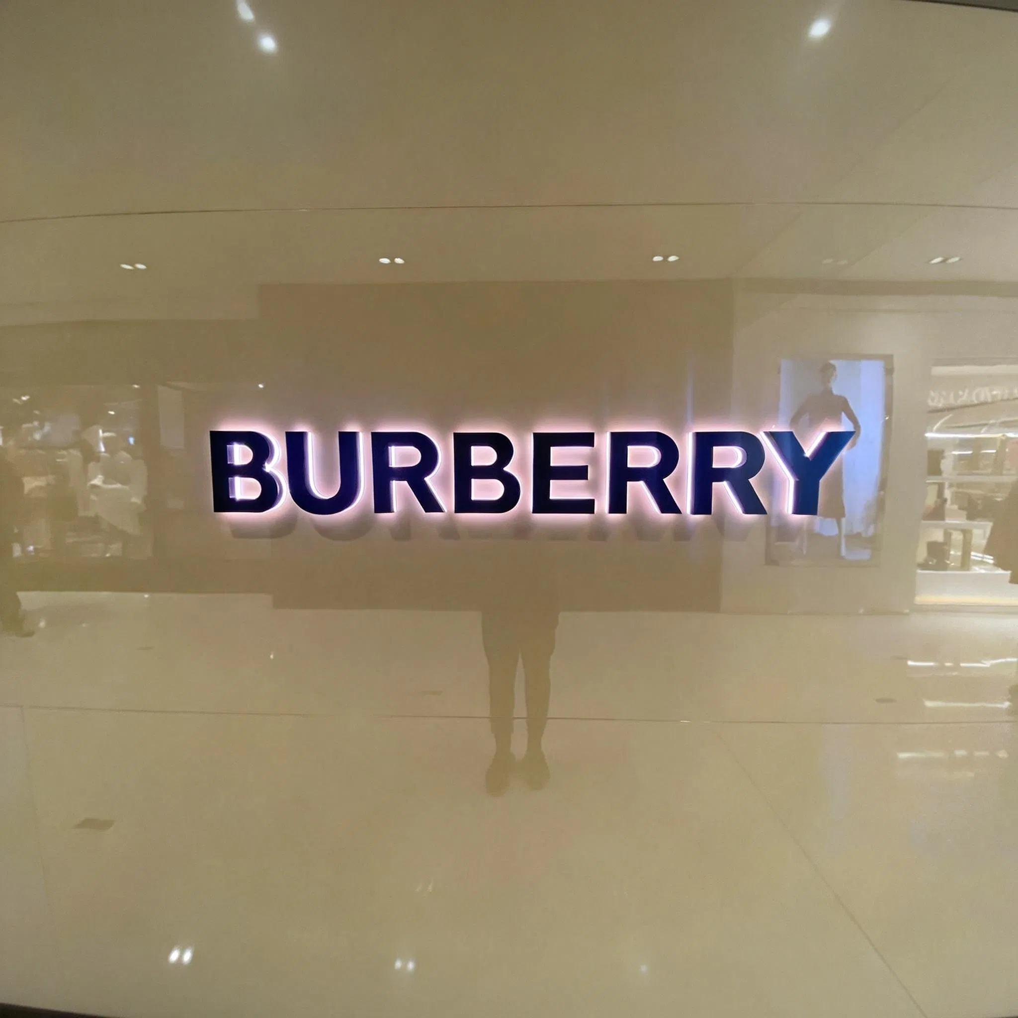 Customized LED Channel Letter Signs for Brand Identity Enhancement