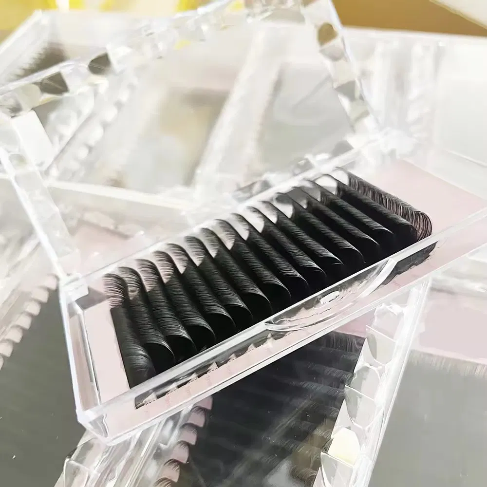 Private Label Korean PBT Fiber Lash Extensions Supplies C D Cc Dd L Matte Volume Lash Trays Individual Eyelash Extensions