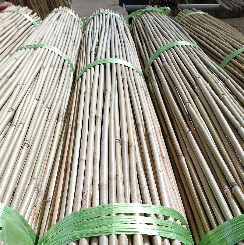 Cheap Bamboo Cane Agricultural Support Bamboo Poles