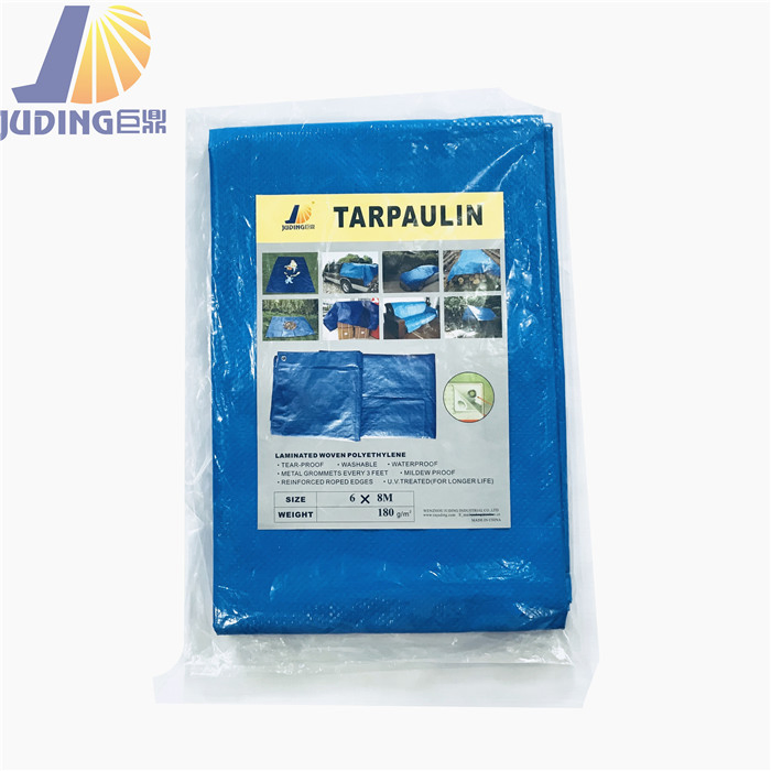 Plastic Canvas Sheet PE Tarpaulin Blue Color Waterproof Outside Cover Truck Cover