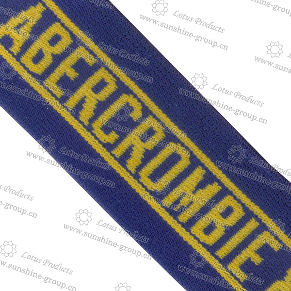 Custom Nylon Jacquard Elastic Tape