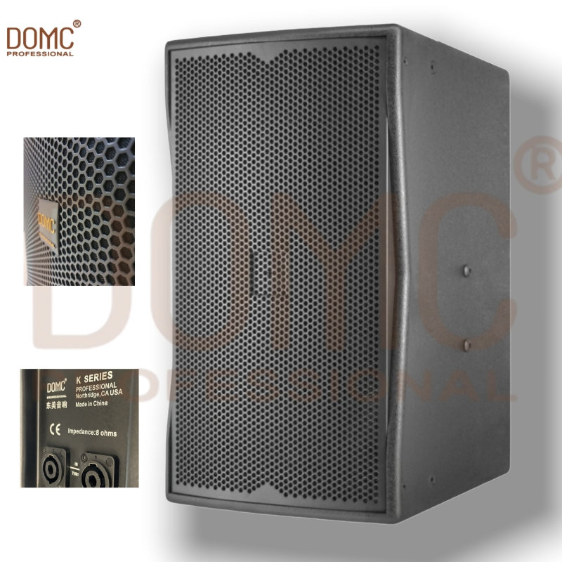 Loud and Clear 10-Inch Speaker for Events and Performances