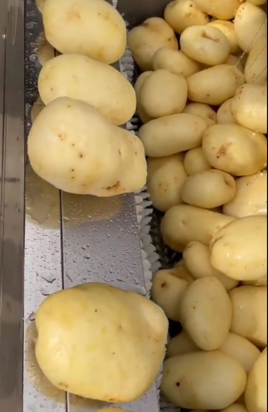 Multifunctional Automatic Carrots Potatoes and Other Vegetables Peeling and Cleaning Machine