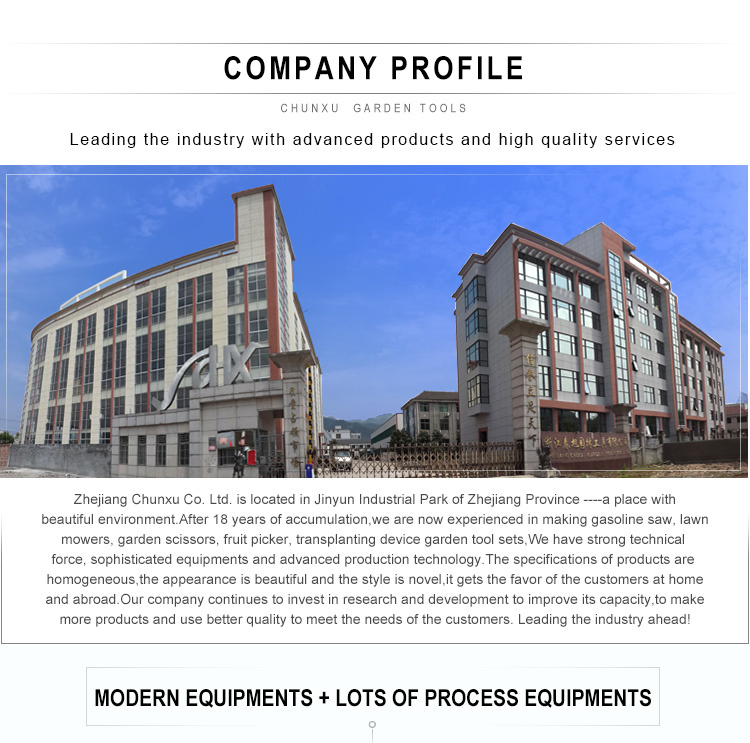 Аккумуляторная цепная пила 600W, 6/8 дюймов