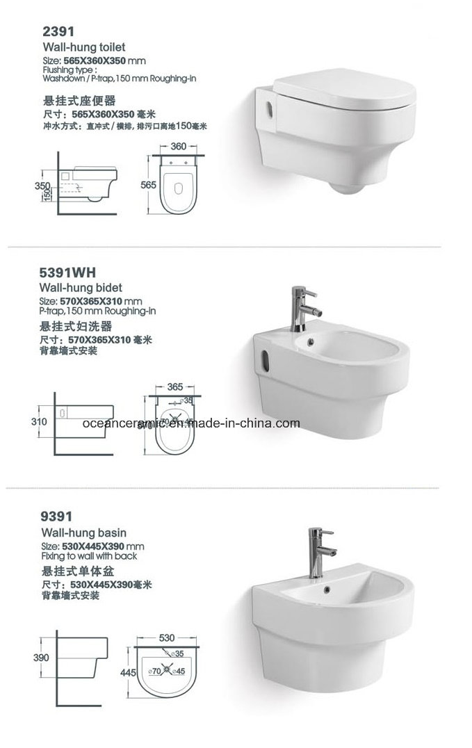 Cc-103 Concealed Cistern with Steel Frame for Wall Hung Toilet