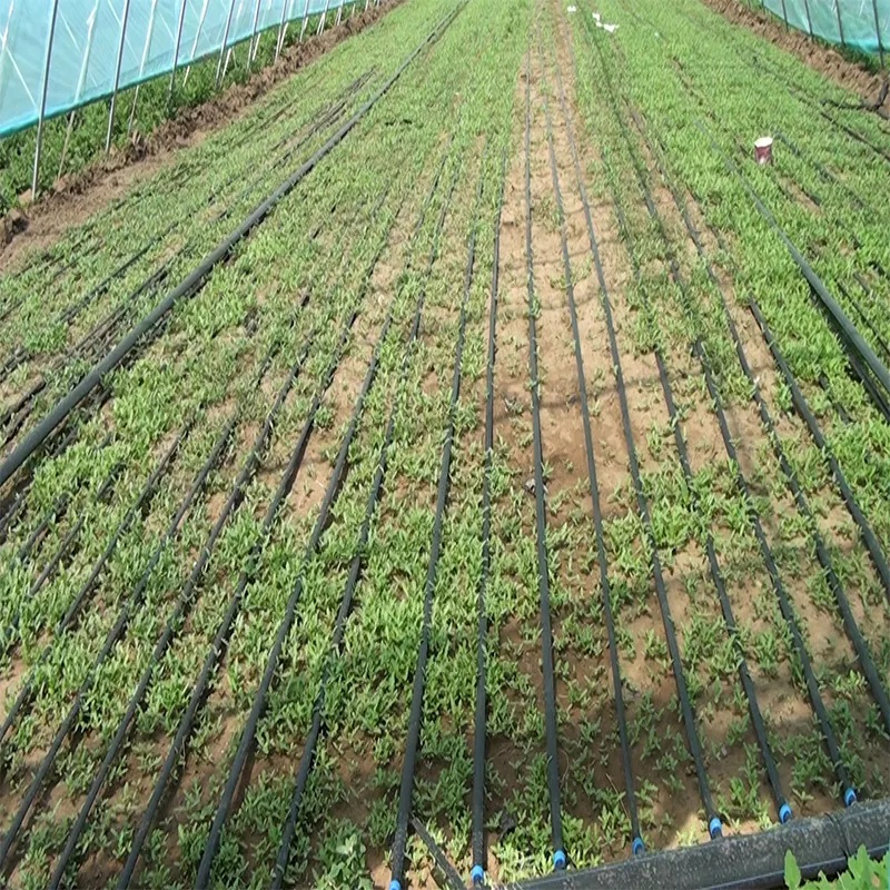 Wholesale Plastic Water-Saving Irrigation Tape Popular