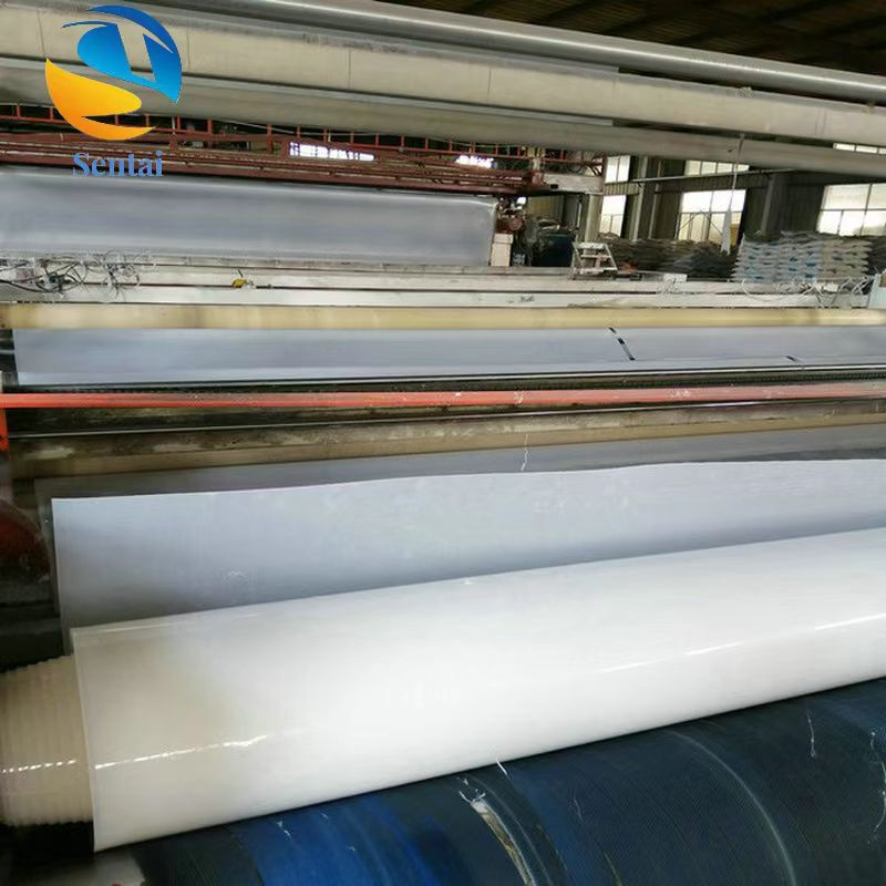 EVA Tunnel Waterproof Board Ecb White Geomembrane HDPE Anti-Seepage Membrane Liner PVC Geomembrane