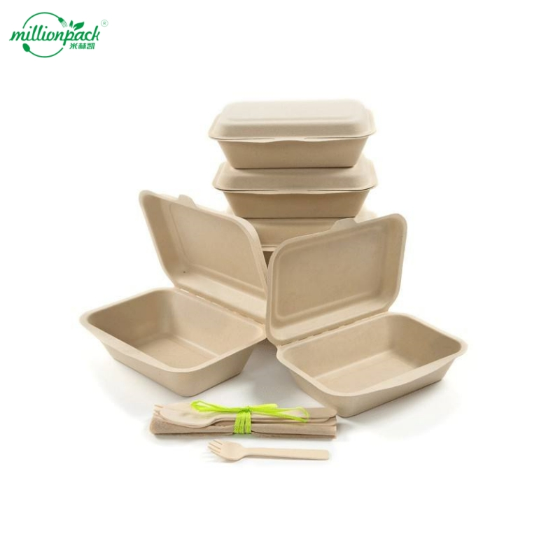Compostable 6X6 Inch Sugarcane Bagasse Box for Bakery Goods Hot Meals