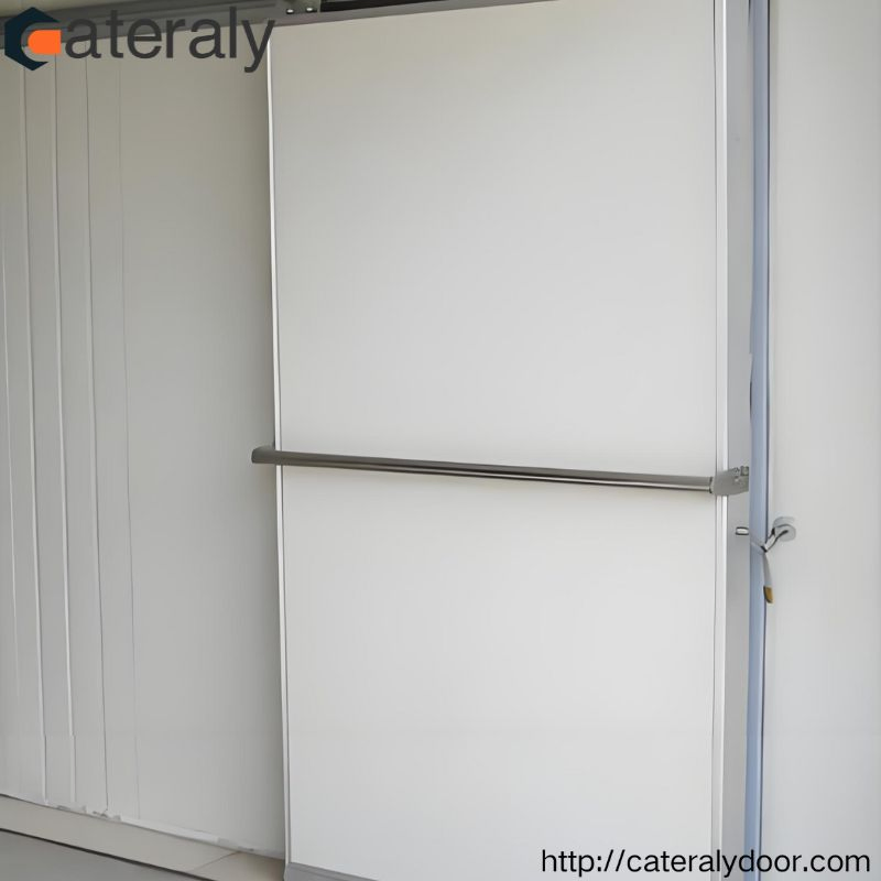 Premium Cold Storage Door with Customizable Thickness Options