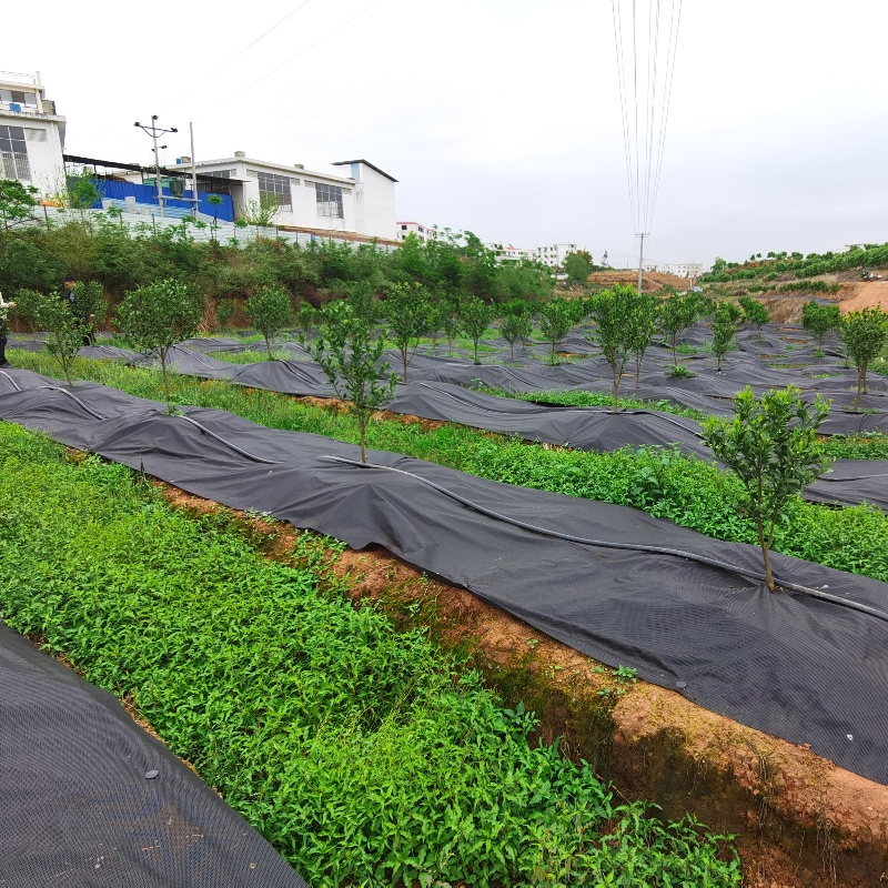 Degradable 70g Anti-Grass Ground Cloth with Nails for Gardening/Greenhouse/Herbs Culture