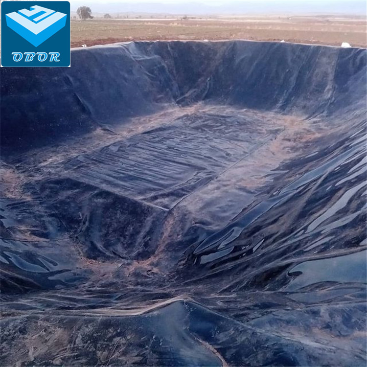 ASTM HDPE Sheet Geomembrane for Prawn Shrimp Farm