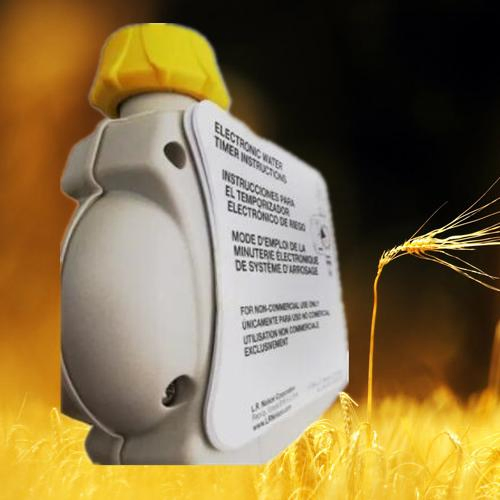 Solenoid Valve Intelligent Water Timer Digital Garden Watering Timer Automatic Waterer Drip Irrigation Minutes Controller for Garden Electric Monitor