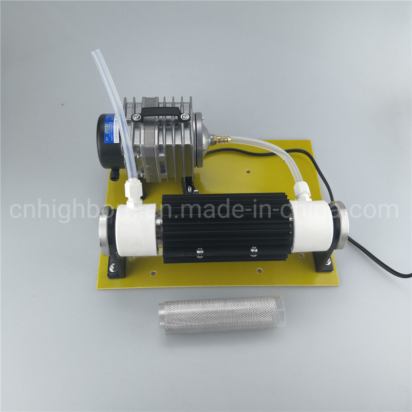 Power Supply Adjustable 110V 220V 10g/H Quartz Tube Ozone Water Purifier O3 Generator Module