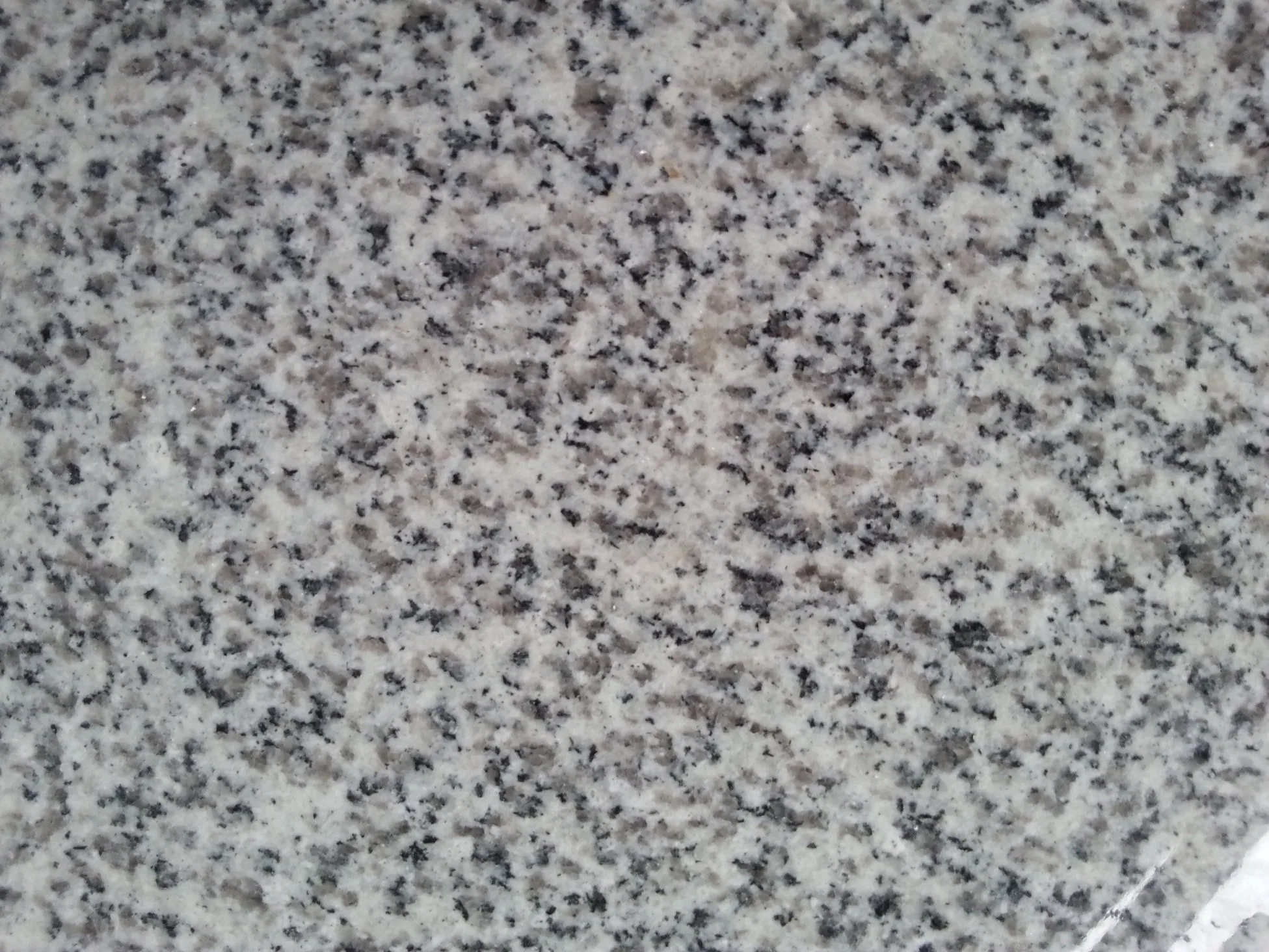 Light Grey Competitive Price Polished G603 Granite Tile