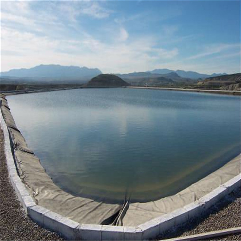 China Sodium Bentonite Gcl for Earthing with HDPE Cover on Sale Gcl