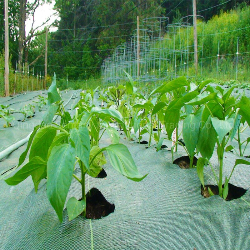 Black Straw Proof Cloth Grass Proof Cloth