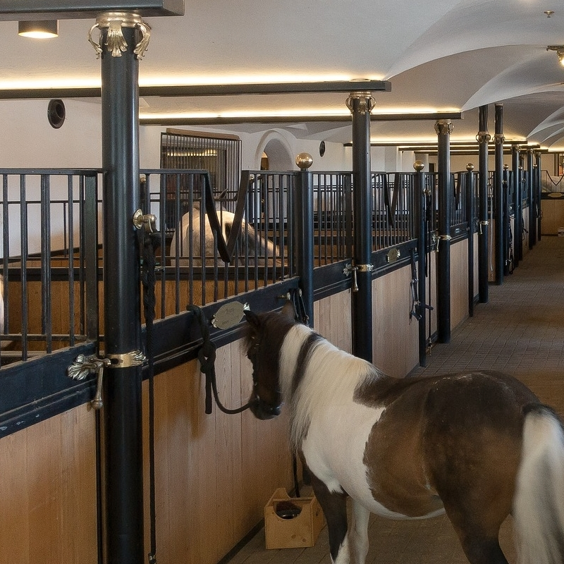 Horse Box Wash Barn Stall Steel Panel Custom Outdoor Horse Stable