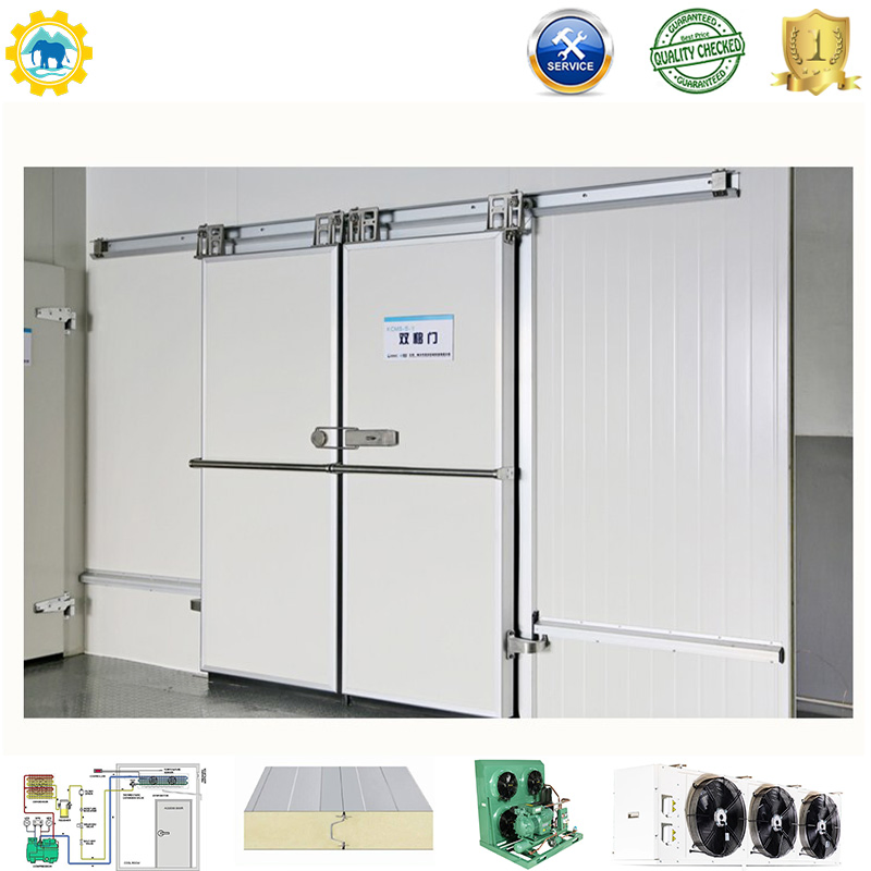 High-Quality PU and PIR Panels for Walk-in Cold Storage