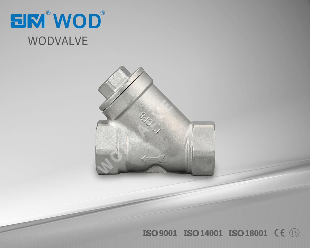 Stainless Steel Y Type Filter