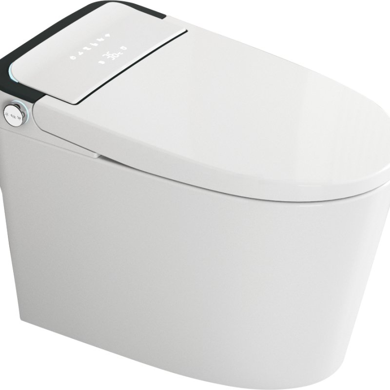 Simple and Popular Fashionable Intelligent Toilet