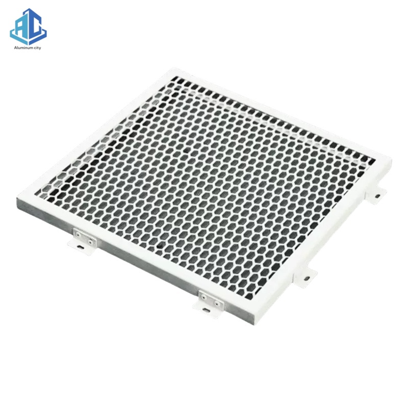 Aluminum Perforated Steel Metal Sheet Mesh Panel