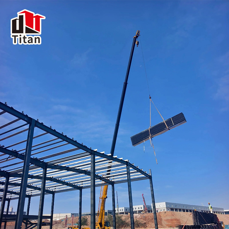 Cold Chain Logistics Food Storage Refrigeration Freezer Steel Structure Warehouse