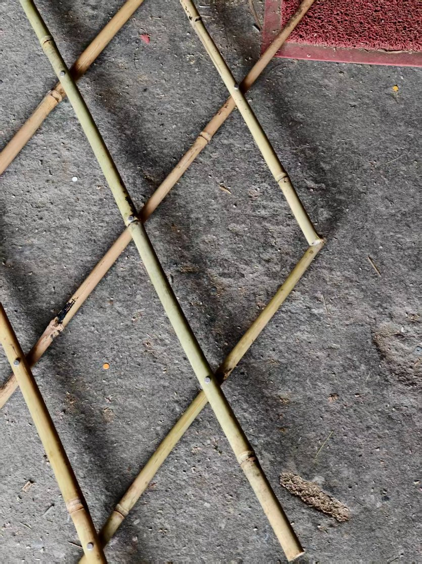 Bamboo Pole Great for Crafts, Fencing, or Decorative Use