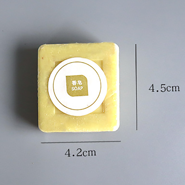 Factory Pirce OEM Customize Logo Hotel Soap and Shampoo Hotel Amenities