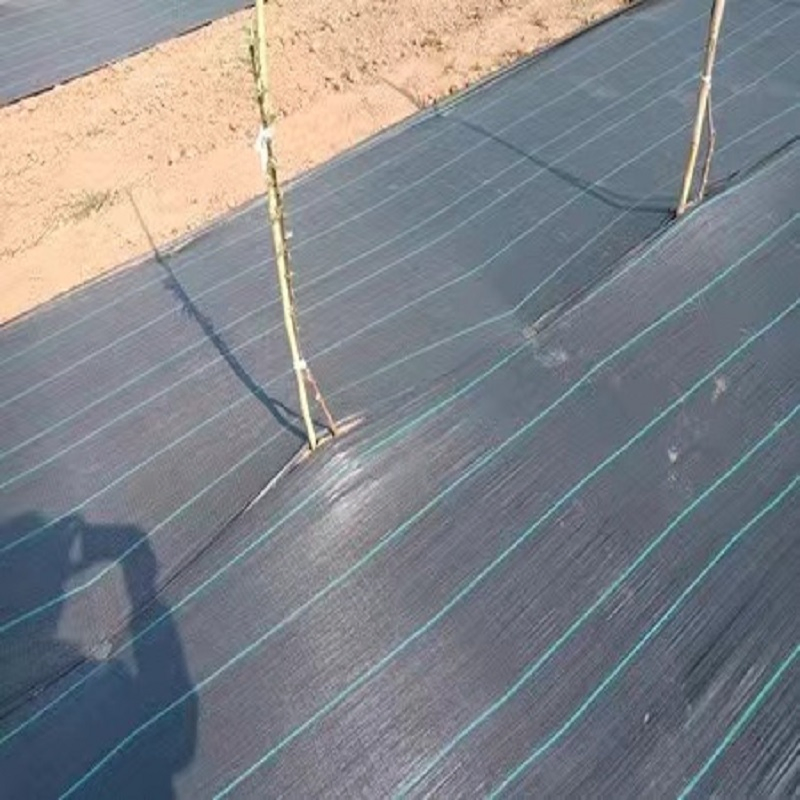 Durable Grass Proof Geotextile Fabric for Agricultural Use