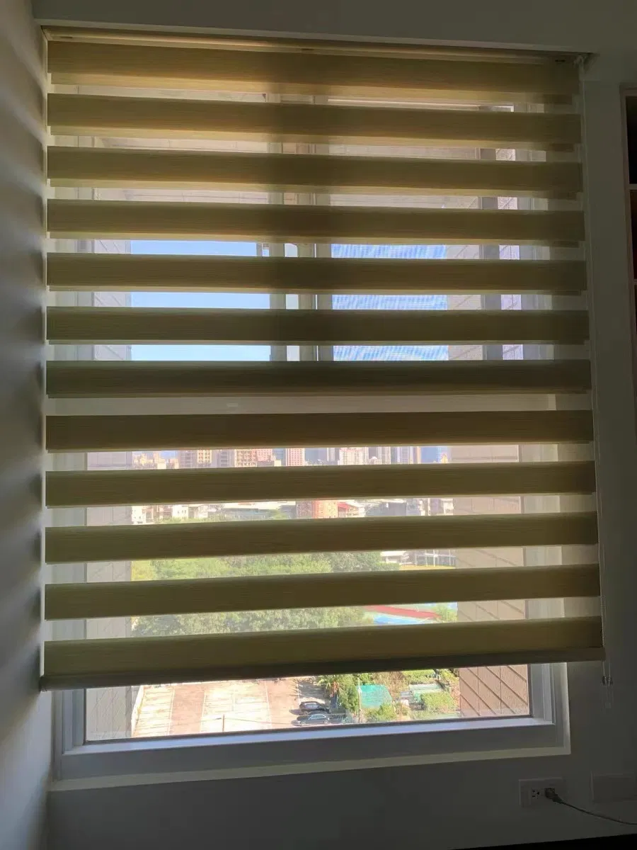 Roller Blinds Window Zebra Blinds